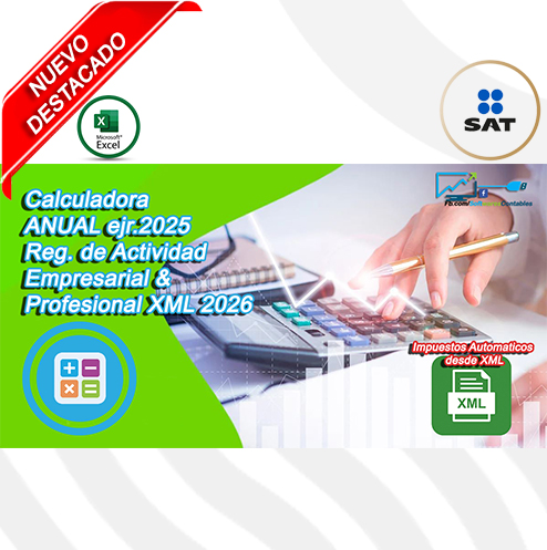 anual persona fisica pag web